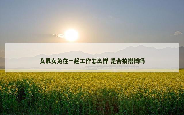 女鼠女兔在一起工作怎么样 是合拍搭档吗