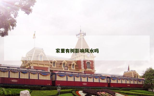 家里有树影响风水吗