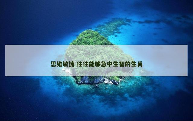思维敏捷 往往能够急中生智的生肖
