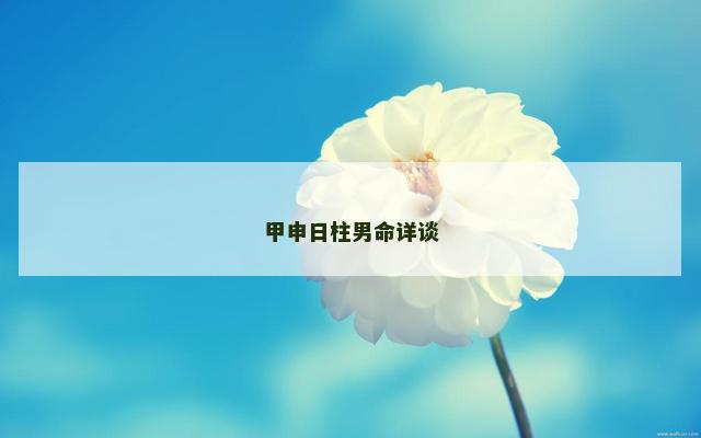 甲申日柱男命详谈