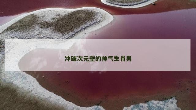 冲破次元壁的帅气生肖男