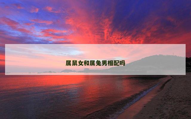 属鼠女和属兔男相配吗
