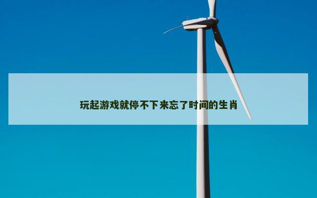 玩起游戏就停不下来忘了时间的生肖