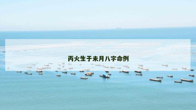 丙火生于未月八字命例