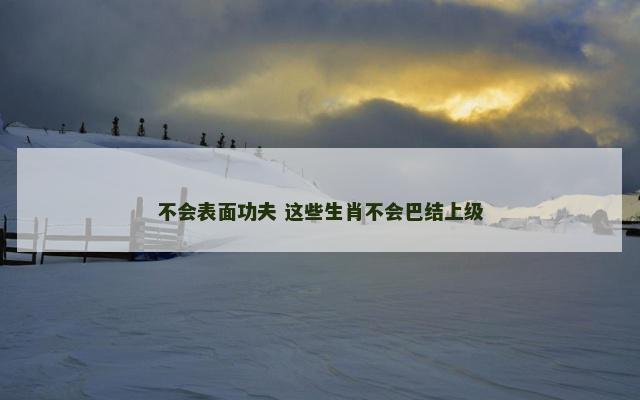 不会表面功夫 这些生肖不会巴结上级