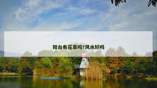 阳台有花草吗?风水好吗