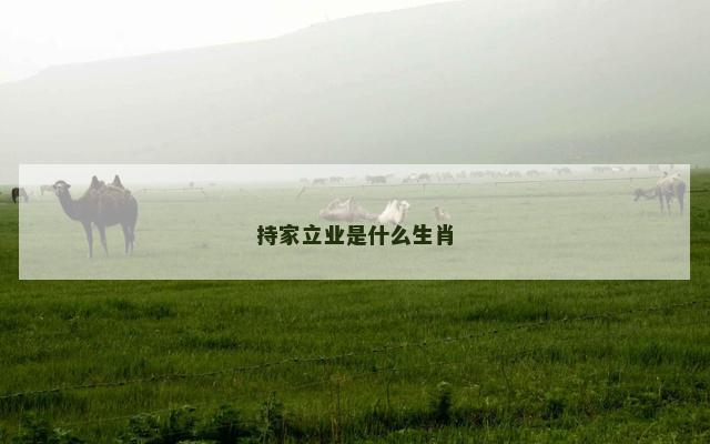 持家立业是什么生肖