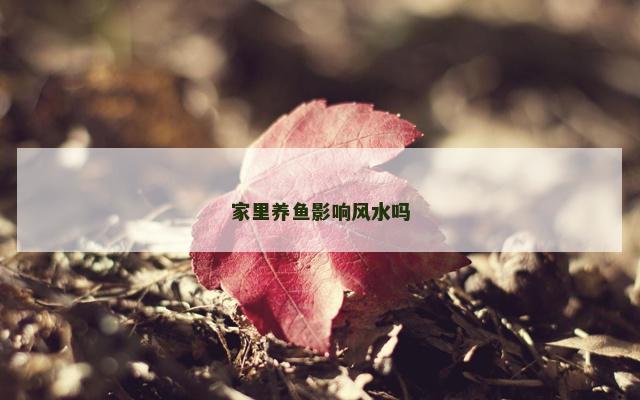 家里养鱼影响风水吗
