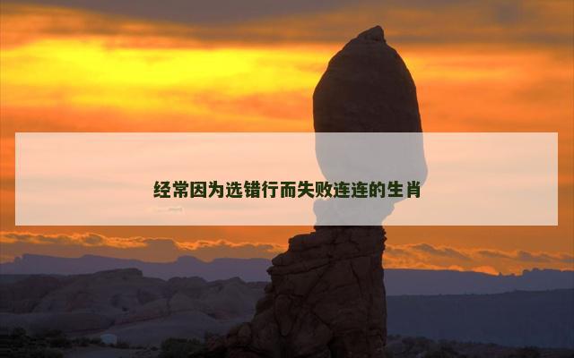 经常因为选错行而失败连连的生肖