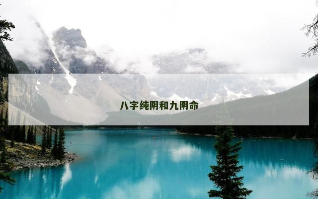 八字纯阴和九阴命