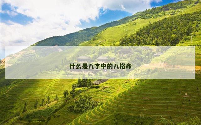什么是八字中的八格命