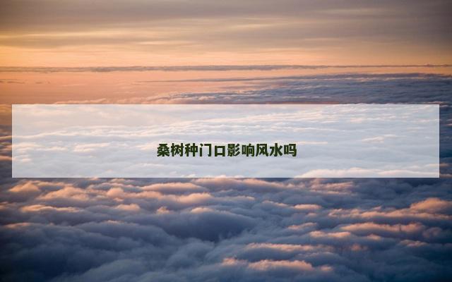 桑树种门口影响风水吗