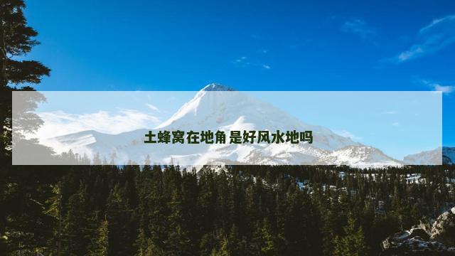 土蜂窝在地角是好风水地吗