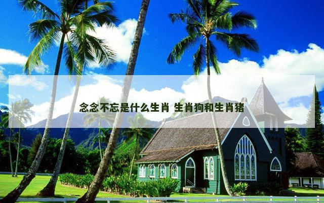 念念不忘是什么生肖 生肖狗和生肖猪