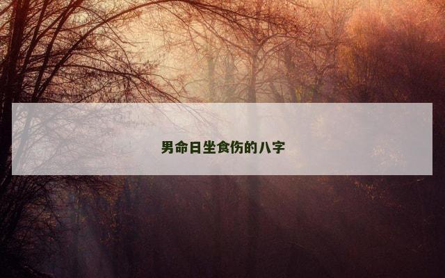 男命日坐食伤的八字