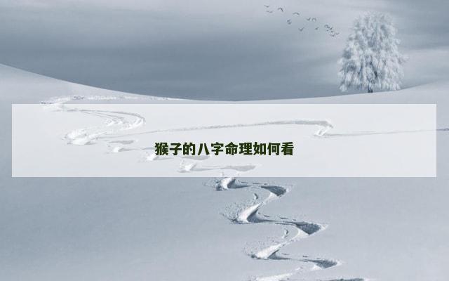 猴子的八字命理如何看