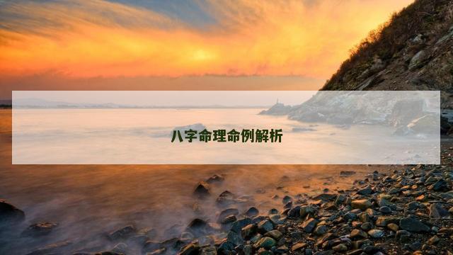 八字命理命例解析