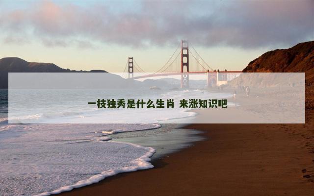 一枝独秀是什么生肖 来涨知识吧