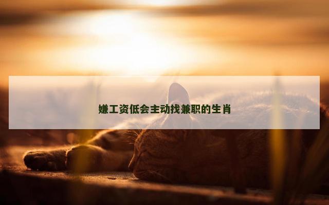 嫌工资低会主动找兼职的生肖
