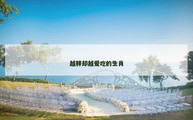 越胖却越爱吃的生肖