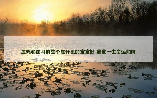属鸡和属马的生个属什么的宝宝好 宝宝一生命运如何