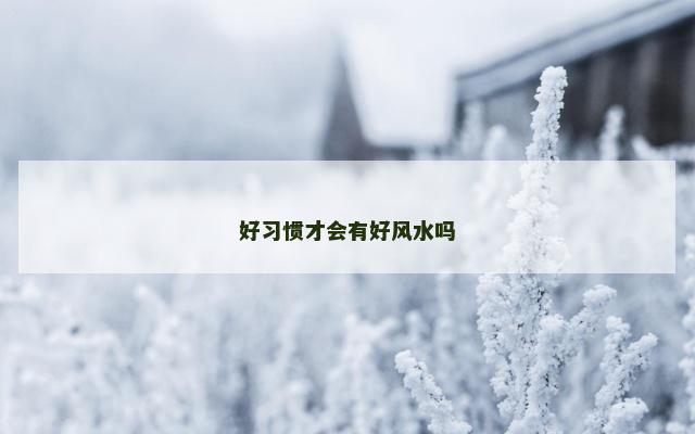 好习惯才会有好风水吗