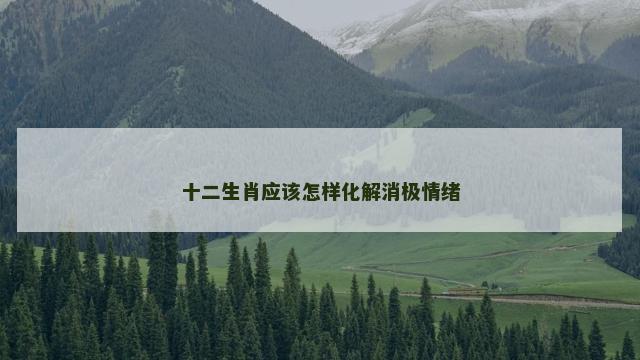 十二生肖应该怎样化解消极情绪