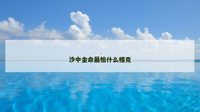 沙中金命最怕什么相克