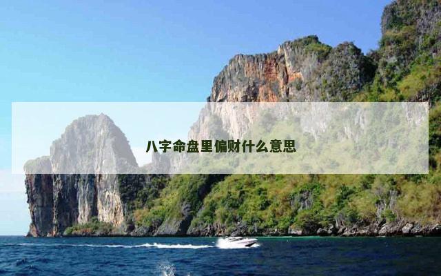 八字命盘里偏财什么意思