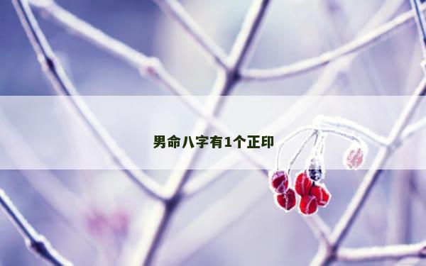 男命八字有1个正印