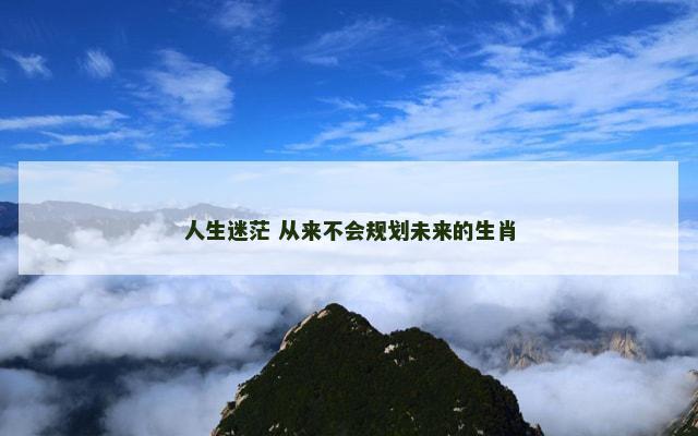人生迷茫 从来不会规划未来的生肖
