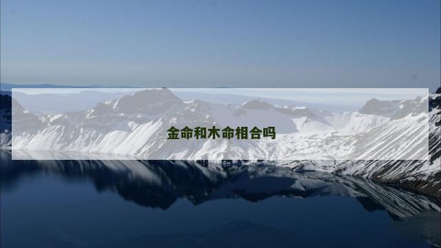 金命和木命相合吗