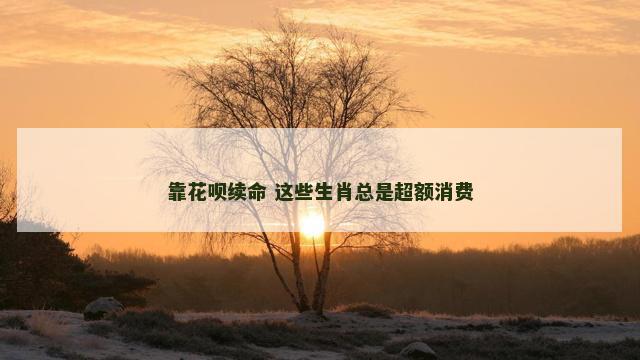 靠花呗续命 这些生肖总是超额消费