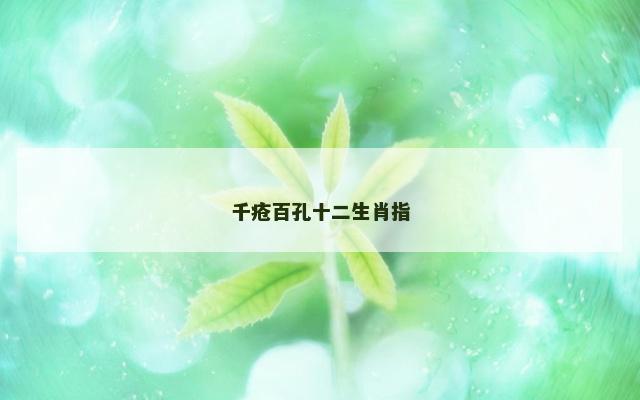 千疮百孔十二生肖指