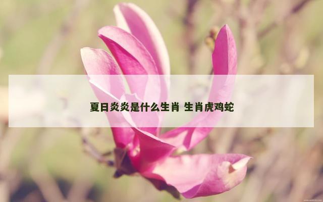 夏日炎炎是什么生肖 生肖虎鸡蛇