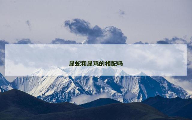 属蛇和属鸡的相配吗