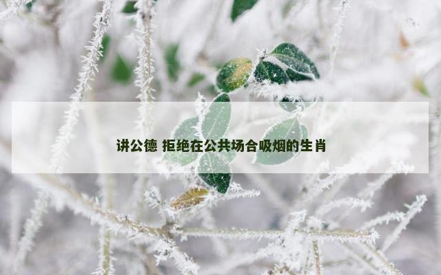 讲公德 拒绝在公共场合吸烟的生肖