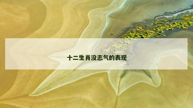 十二生肖没志气的表现