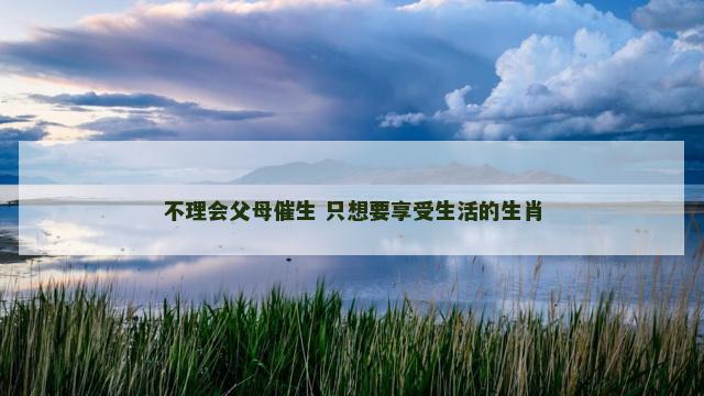 不理会父母催生 只想要享受生活的生肖