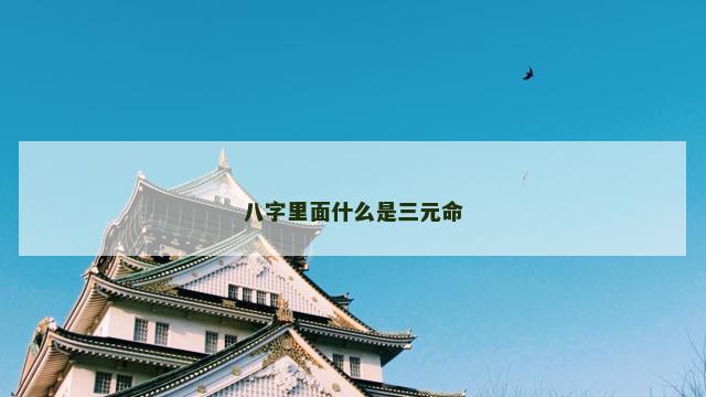 八字里面什么是三元命