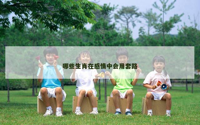 哪些生肖在感情中会用套路
