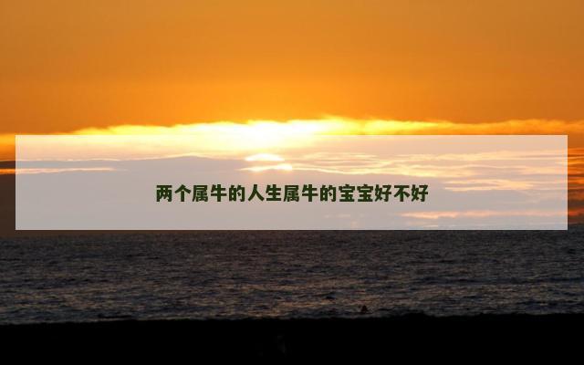两个属牛的人生属牛的宝宝好不好