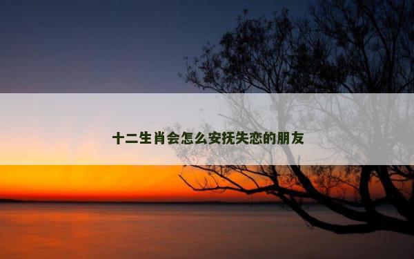 十二生肖会怎么安抚失恋的朋友
