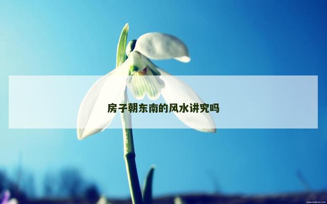 房子朝东南的风水讲究吗