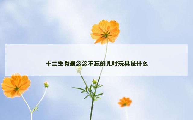 十二生肖最念念不忘的儿时玩具是什么