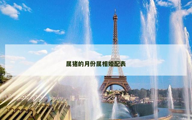 属猪的月份属相婚配表