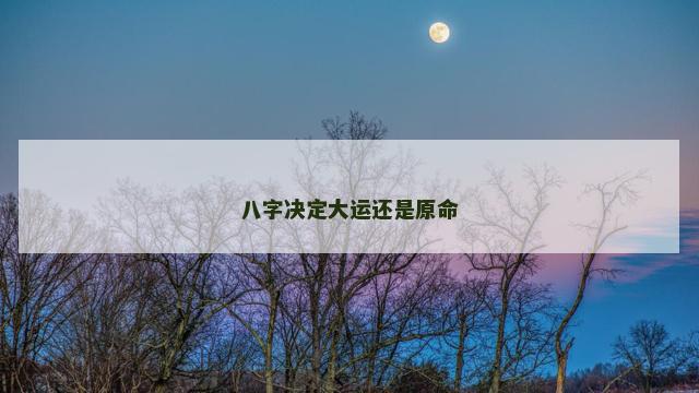 八字决定大运还是原命