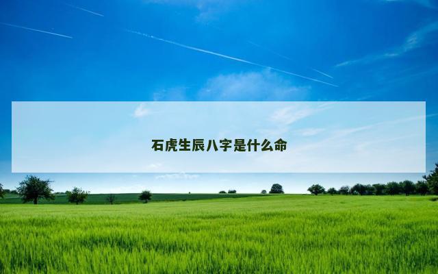 石虎生辰八字是什么命