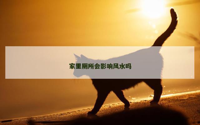 家里厕所会影响风水吗