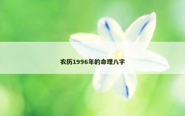 农历1996年的命理八字